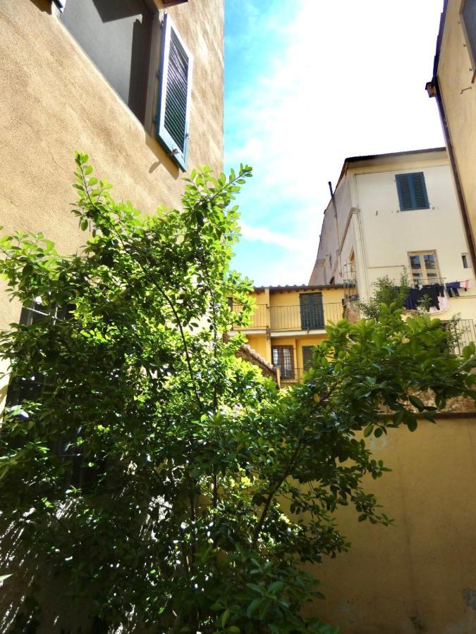 Maila Apartments 25Min From Florence Prato  Buitenkant foto